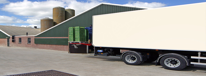 Opallex International LLC