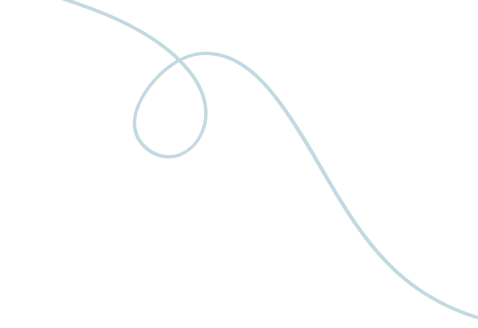 Opallex International LLC