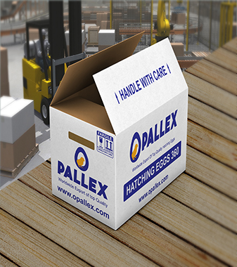  Opallex international