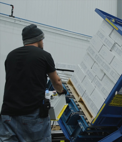 wholesale chicken wings distributors