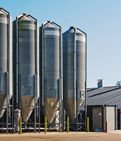 Poultry Feed supplier