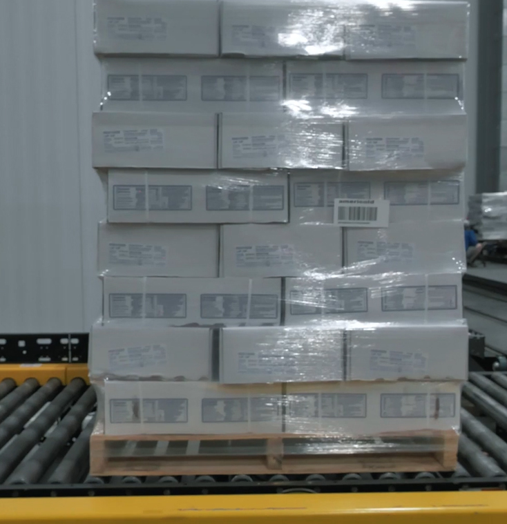 broiler fertile eggs