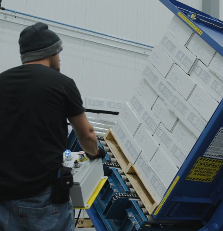 hatching eggs suppliers