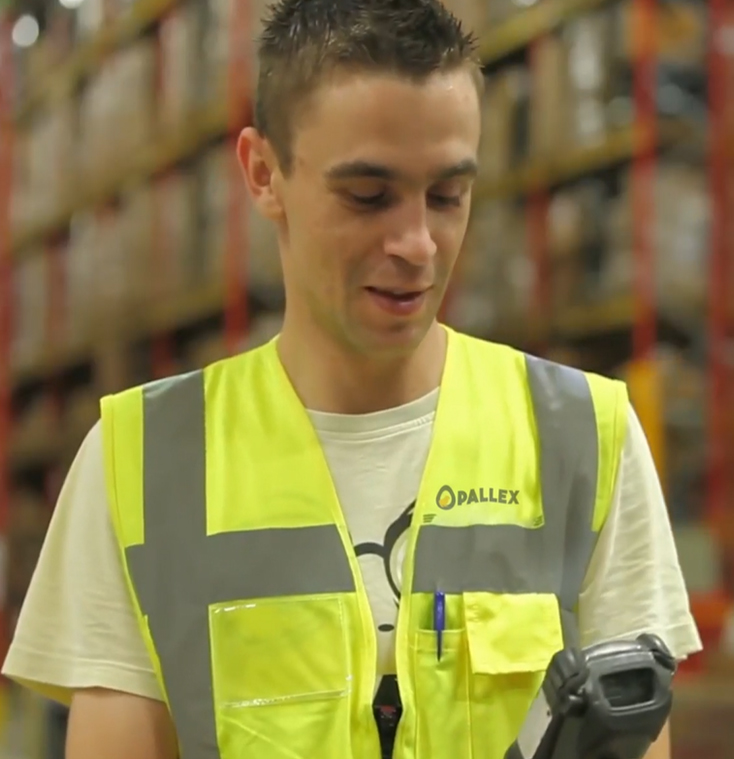 fertile eggs suppliers