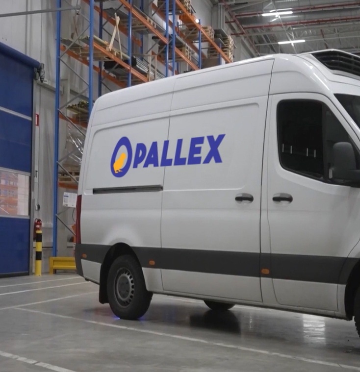 fertile eggs distributors