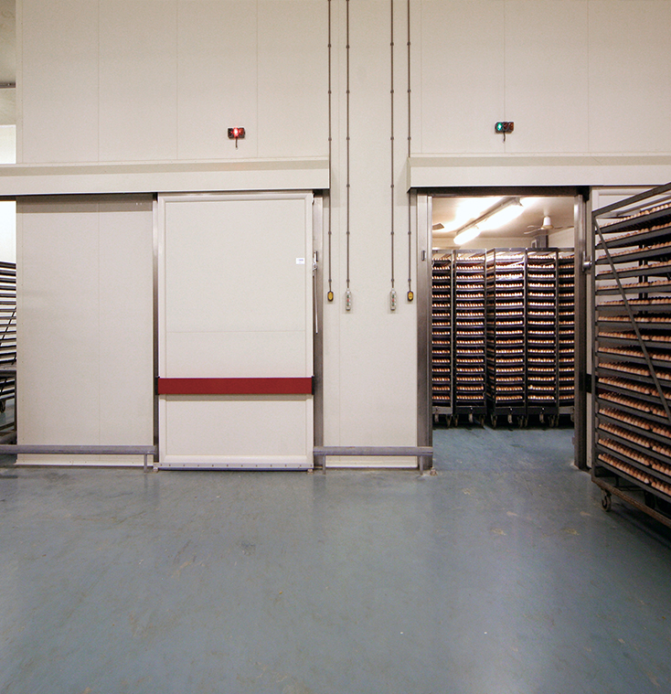 cobb500 hatching eggs